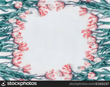 Pastel pink tulips frame, springtime flowers background, top view. Layout or greeting card for spring holidays