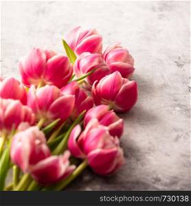 Pastel pink tulips on shabby chic background, space for text. Pastel pink tulips on shabby chic background
