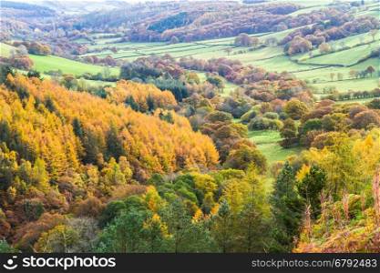 Pastoral fields, trees and hedges in morning mist, Autumn Fall. Powys, Wales. Low sunlight, green, peaceful