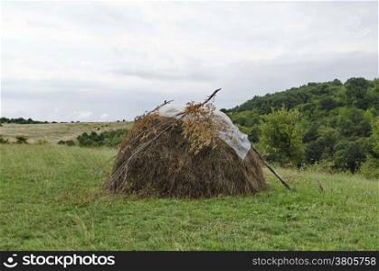 Pastoral landscape in Lulin mountain with bundle of hay