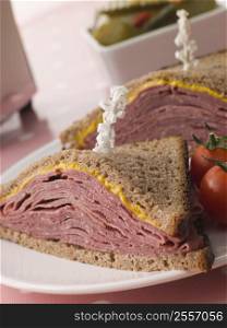 Pastrami on Rye Bread with Mustard