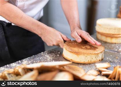 pastry chef cutting the sponge cake on layers. Cake production process .. pastry chef cutting the sponge cake on layers. Cake production process.