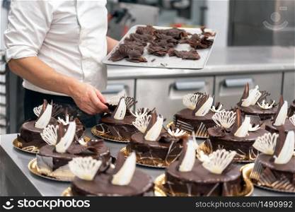 Pastry Chef decorating chocolate cakes in the kitchen of pastry shop .. Pastry Chef decorating chocolate cakes in the kitchen of pastry shop
