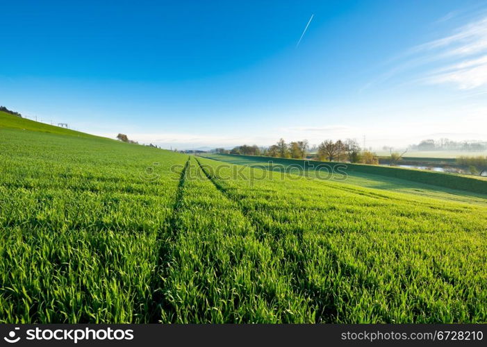 Pasture along the Irrigation Canal and Dam in Switzerland