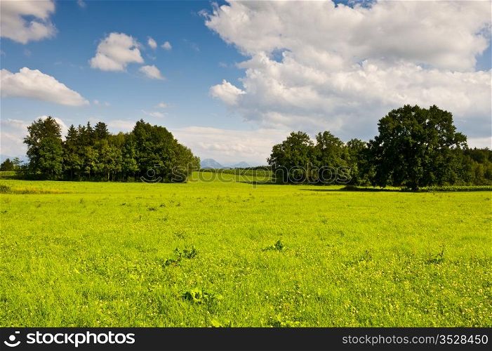 Pasture in Southern Bavaria, Germany