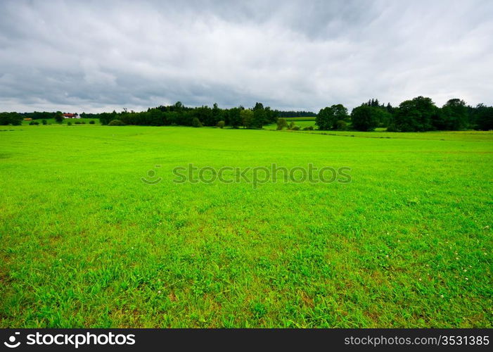 Pasture in Southern Bavaria, Germany