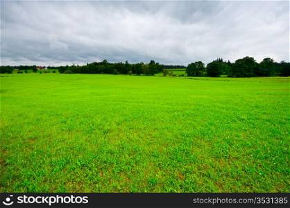 Pasture in Southern Bavaria, Germany