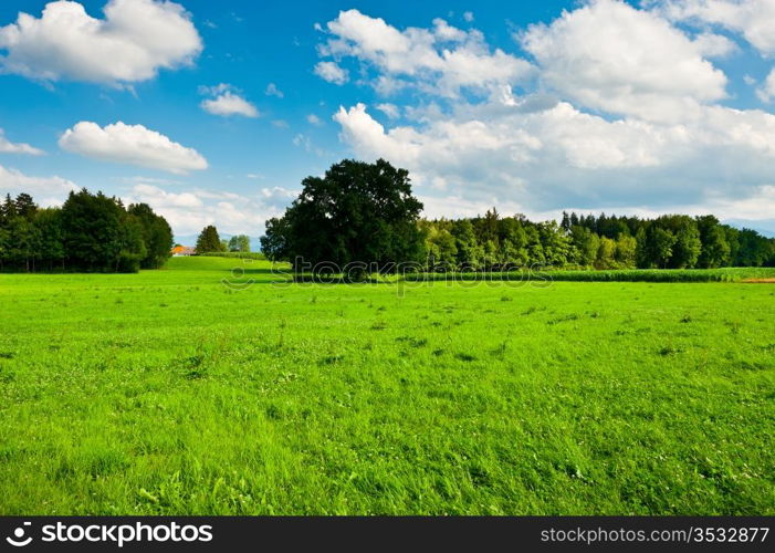 Pasture in Southern Bavaria, Germany