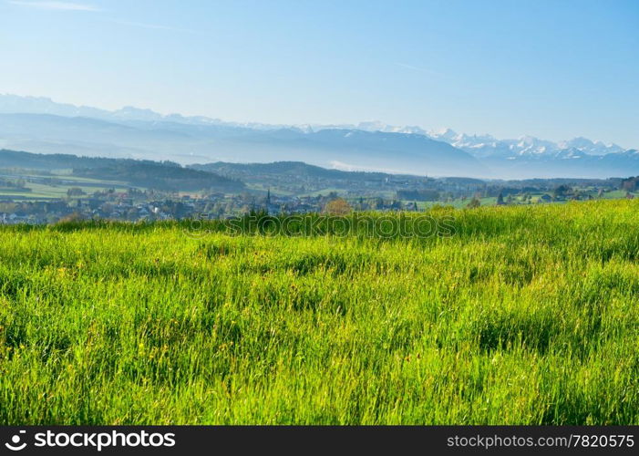 Pasture on the Background of Snow-capped Alps, Switzerland