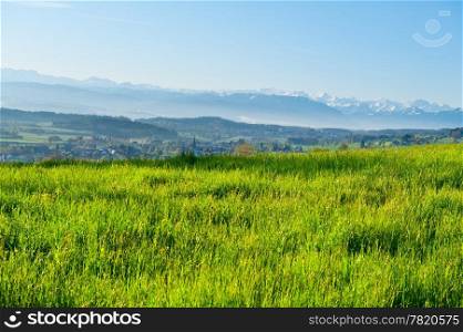 Pasture on the Background of Snow-capped Alps, Switzerland