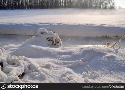 Pasture with snow in the Horsten in Wassenaar, Netherlands.