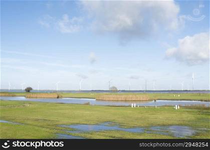Pastures in The Netherlands by Spakenburg.
