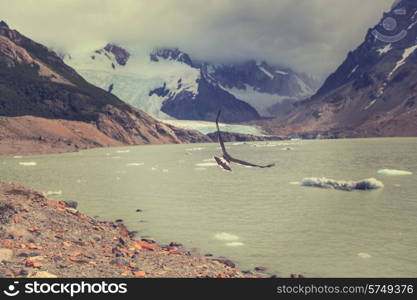 Patagonia landscapes in Argentina