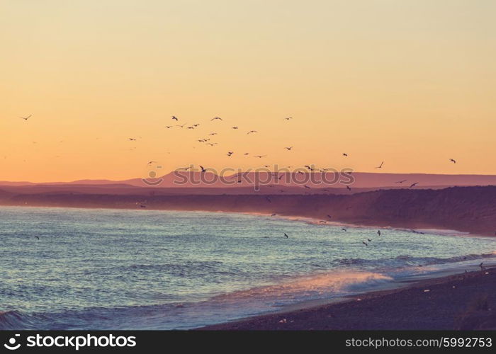 Patagonian Coast in Argentina