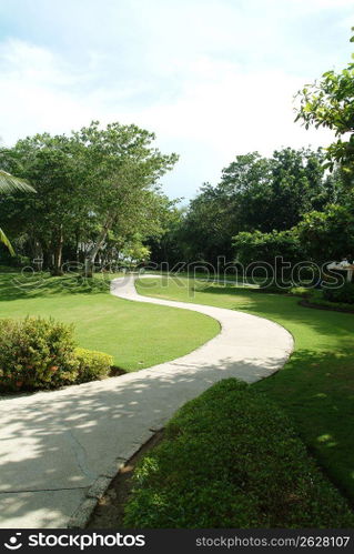 Path