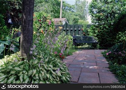 Path and bench in garden