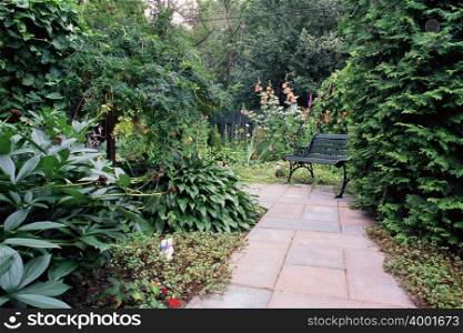 Path and bench in garden