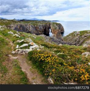 Path and summer blossoming rocky coast with yellow bushes (Asturias, Spain).
