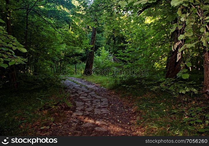 path from stone in the forest in summer. path from stone in the forest in summer, Russia