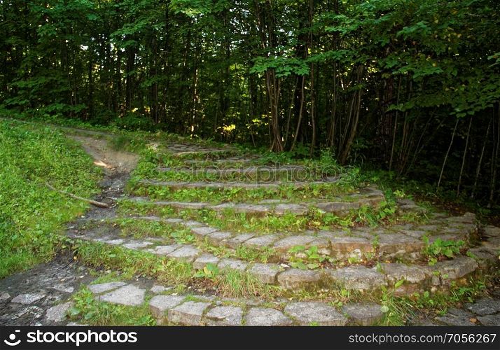 path from stone in the forest in summer. path from stone in the forest in summer, Russia