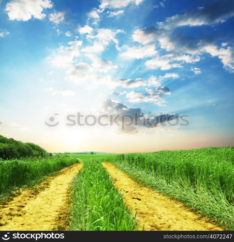 Path in a field