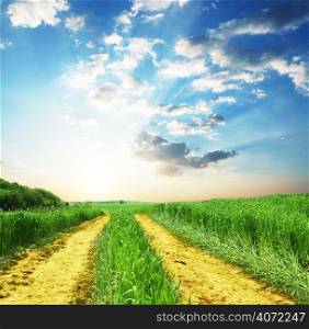 Path in a field