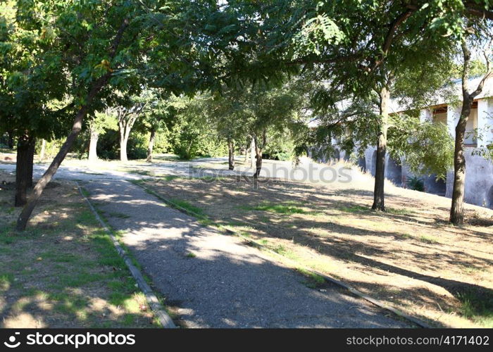 Path in a park