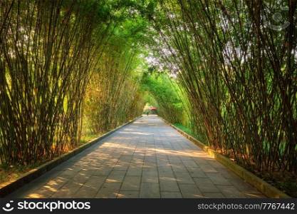 Path in bamboo forest brove in Wangjiang Pavilion  Wangjiang Tower  Wangjianglou Park. Chengdu, Sichuan, China. Wangjianglou park. Chengdu, Sichuan, China