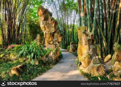 Path in bamboo forest brove in Wangjiang Pavilion (Wangjiang Tower) Wangjianglou Park. Chengdu, Sichuan, China. Park in Chengdu, China