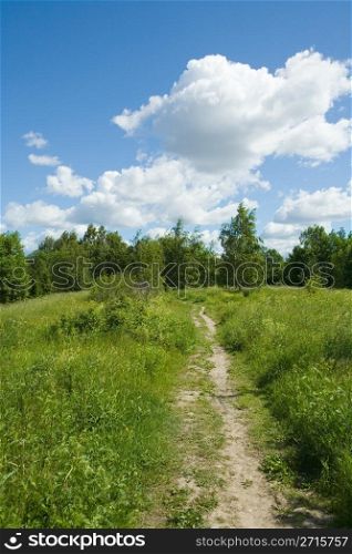 Path in beautiful sunny nature environment