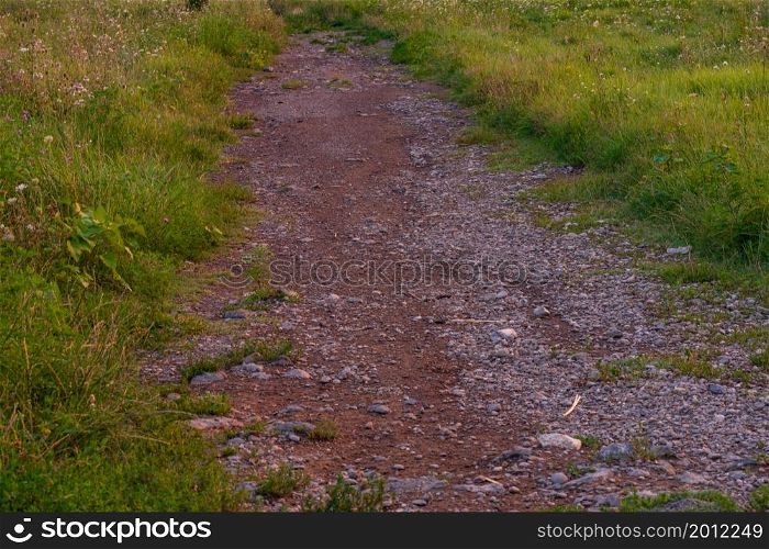 Path in Carphatian Mountains at sunset