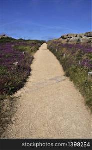 Path in heather and rock on the pink granite coast in Brittany