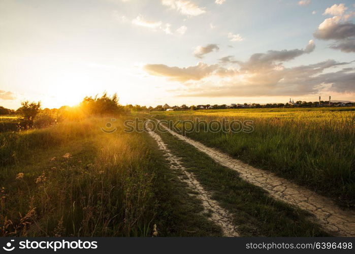 Path in the field and sunset. Rural landscape. Rural morning landscape