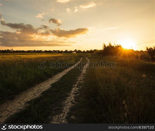 Path in the field and sunset. Rural landscape. Rural morning landscape