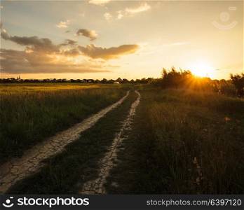 Path in the field and sunset. Rural landscape. Rural morning landscape