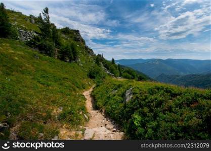 path in the heights of the vosges mountains in france