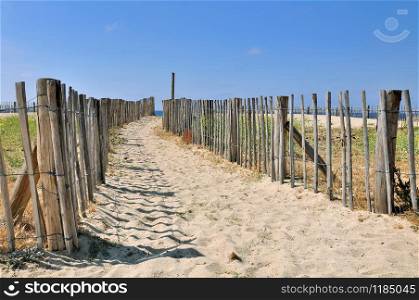 path in the sand bordered by a wooden fence