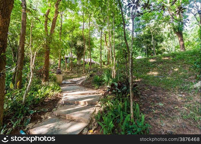 Path in the shady green garden,Thailand