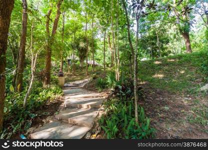 Path in the shady green garden,Thailand
