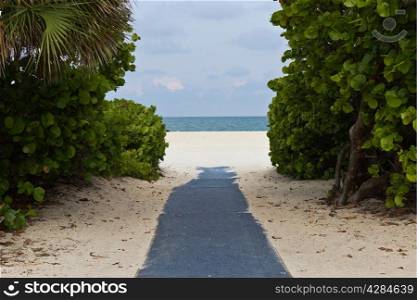 Path leading to the beach
