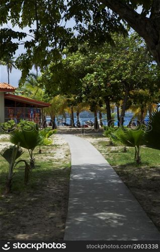 Path leading towards a store on the beach, Luquillo Beach, Puerto Rico