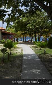 Path leading towards a store on the beach, Luquillo Beach, Puerto Rico