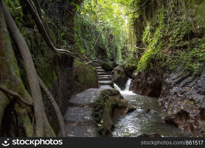 Path made of stone slabs and steps through dense green jungle in Bali