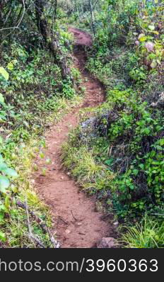 path of Doi Luang Chiang Dao Mountain Landscape, Chiang Mai, Thailand.