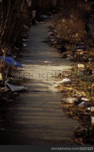 Path of Litter