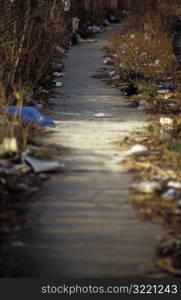 Path of Litter