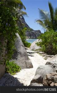 Path through sand on overgrown coast in paradise