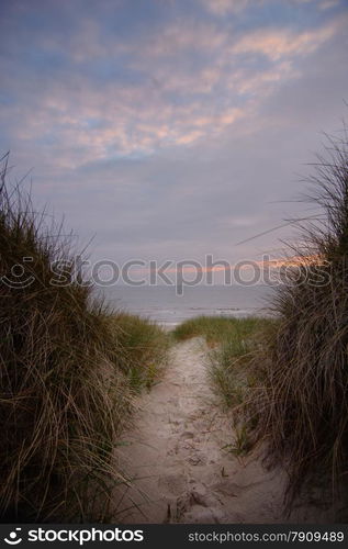 path through sanddunes to beach at sunset