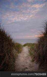 path through sanddunes to beach at sunset