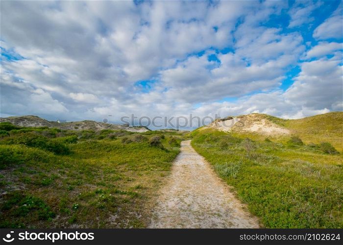 Path through the dunes in the North of Holland